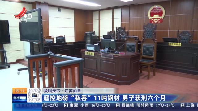 【放眼天下】江苏如阜：遥控地磅“私吞”11吨钢材 男子获刑六个月