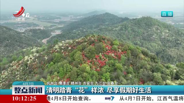 清明踏青“花”样浓 尽享假期好生活