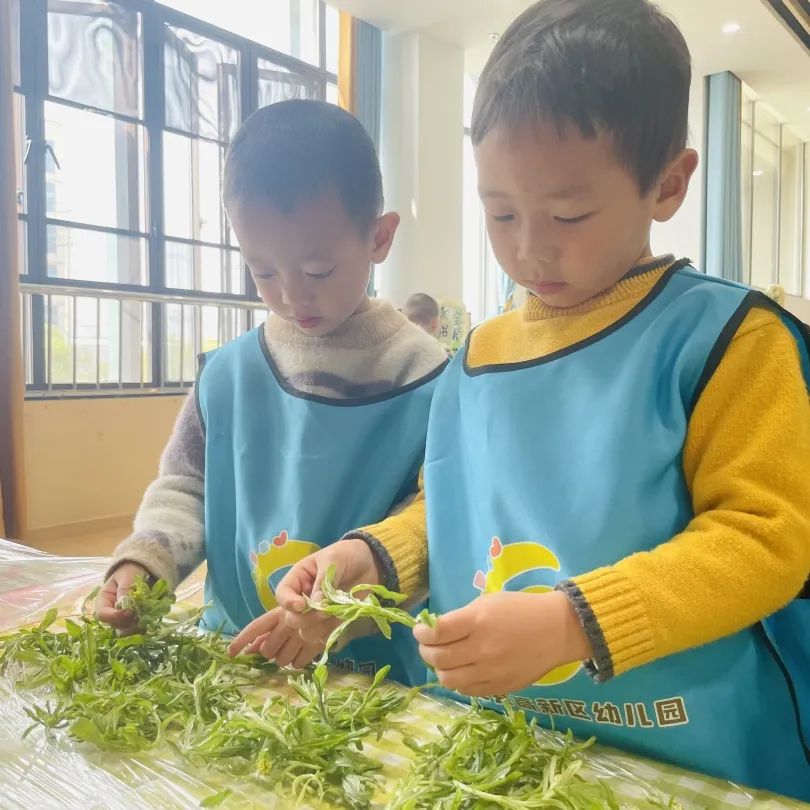 幼芽寄思 清明承志——崇仁县高新区幼儿园清明节主题活动