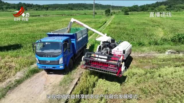 农问20250330