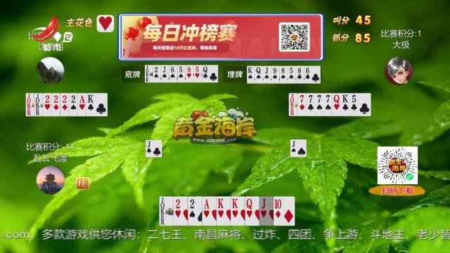 谁是赢家20250402