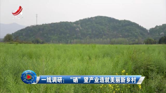 社会传真20250422 一线调研：“硒”望产业造就美丽新乡村