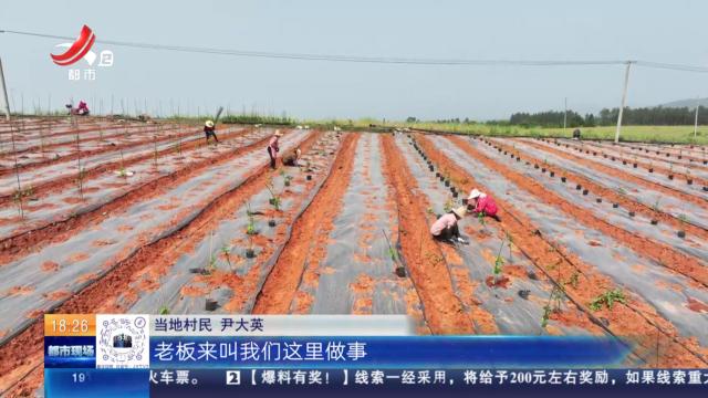 【赣闻天下】吉安永丰：百香果种出好“钱”景 每亩纯利润近万元