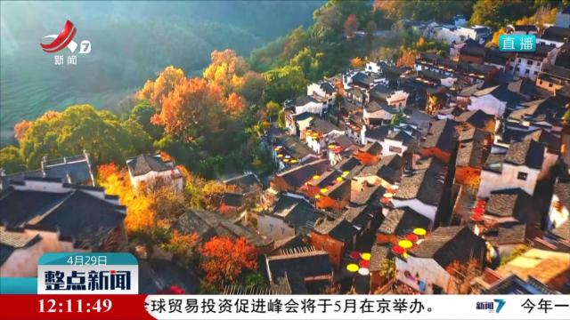整点新闻20250429 12:00