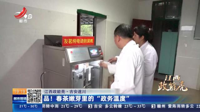 【江西政能亮】吉安遂川：品！春茶嫩芽里的“政务温度”