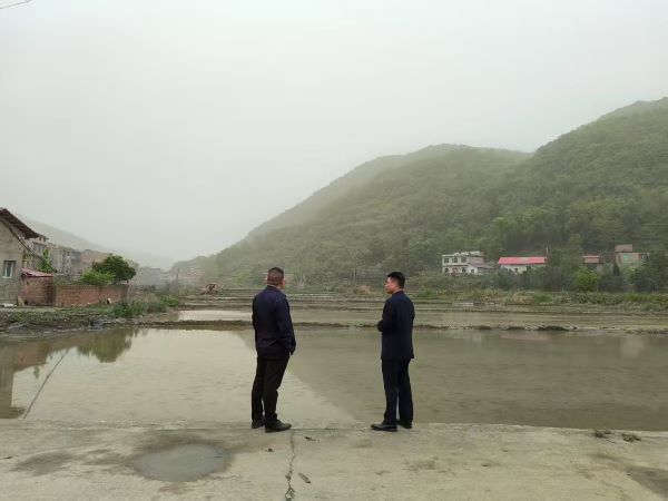 宜春市袁州区慈化镇：人大代表田间履职显担当