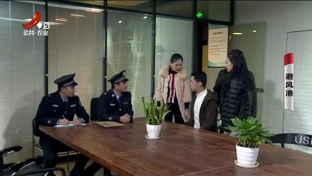 乡村栏目剧场20250419 避风港