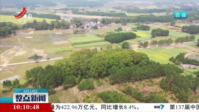 保护古树名木 守好“绿色文物”