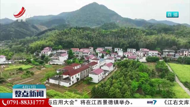 德安：“庭院经济”铺就家门口的“增收路”