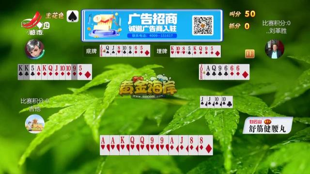 谁是赢家20250430
