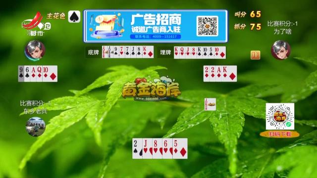 谁是赢家20250423