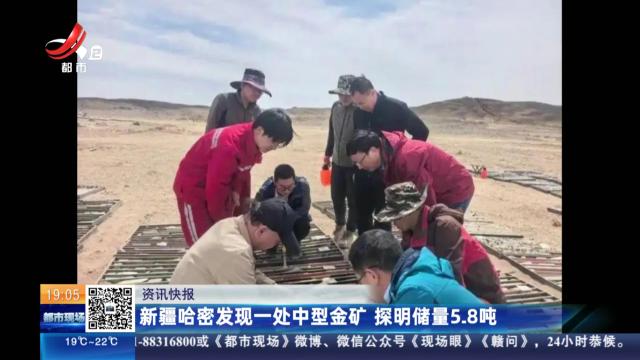 新疆哈密发现一处中型金矿 探明储量5.8吨