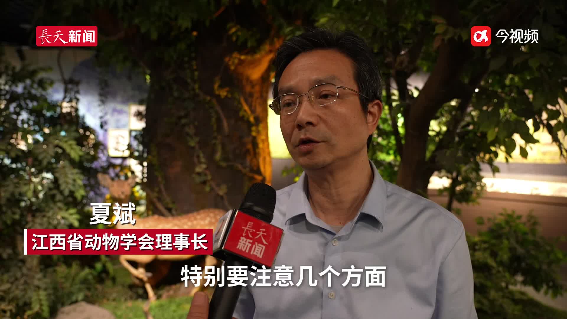 宠物的“后事”怎么办？宠物殡葬业期待规范