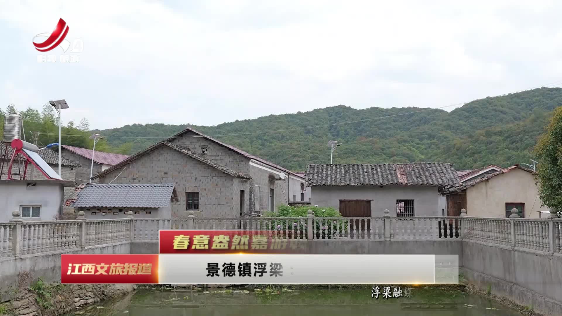 景德镇浮梁：两百余年牡丹花开正艳