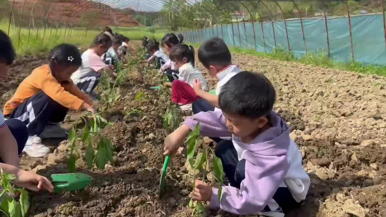 趣享春耕  乐在其“种”
