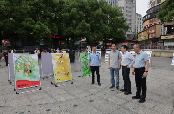 家长是孩子的第一任老师——南丰县嘉禾小学举办五六年级家庭教育讲座