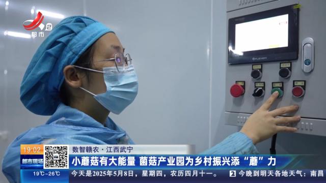 【数智赣农】江西武宁：小蘑菇有大能量 蘑菇产业园为乡村振兴添“蘑”力