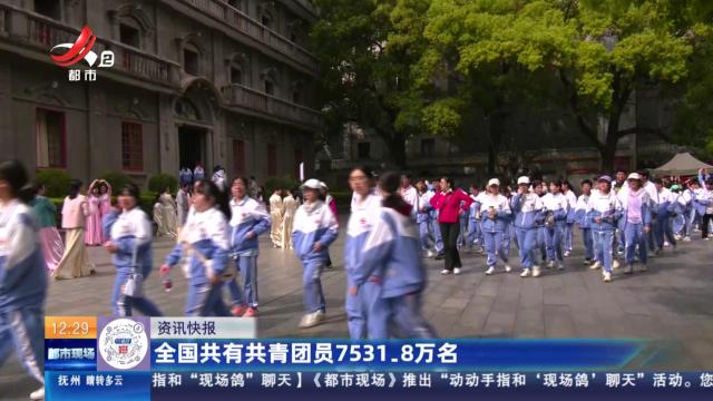 全国共有共青团员7531.8万名