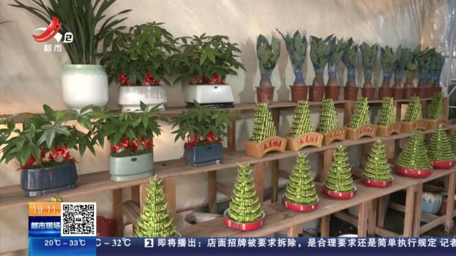 南昌：卖了三盆花引来五万索赔 花店老板直喊冤