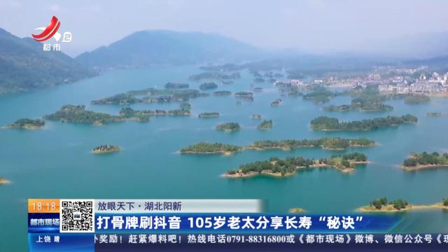 都市现场20250511