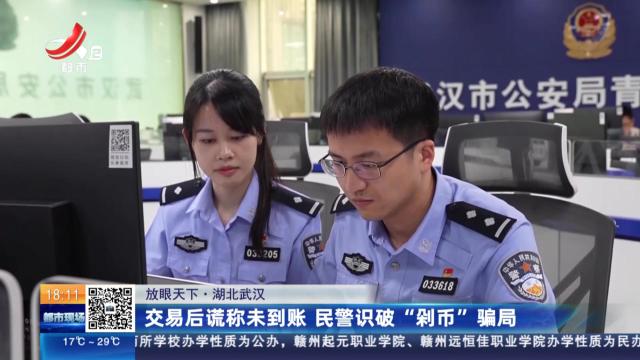 【放眼天下】湖北武汉：交易后谎称未到账 民警识破“剁币”骗局