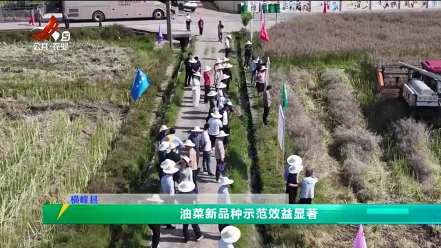 三农头条20250513