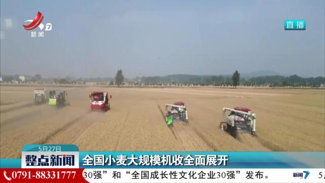 全国小麦大规模机收全面展开
