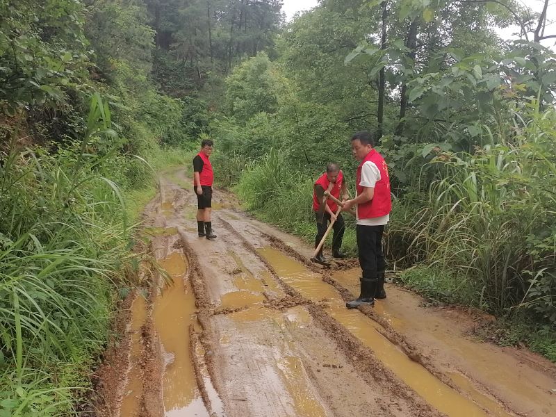 宜丰县采育联合林场澄塘分场“防汛先锋”守护绿水青山