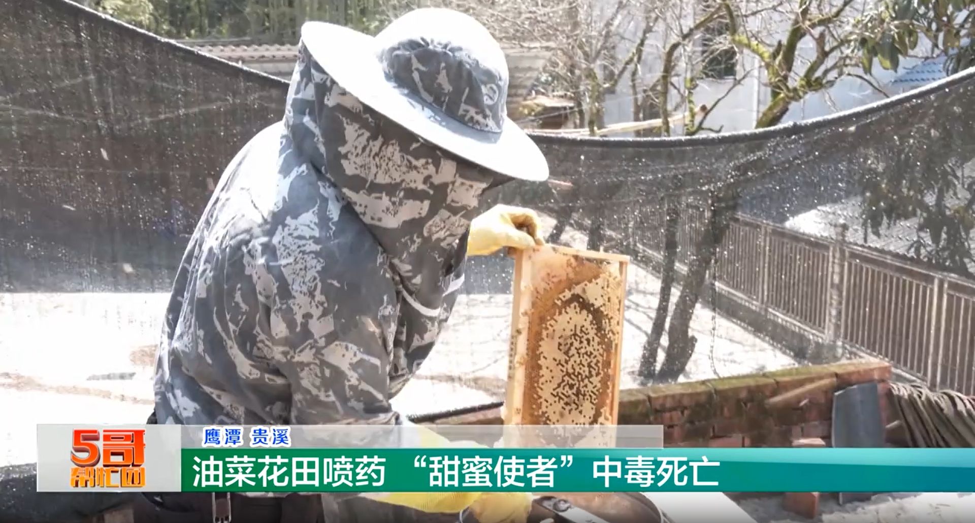五哥帮忙团20250424