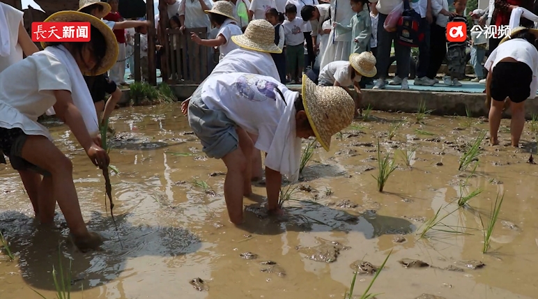 江西浮梁：沉浸式体验传统文化 这群“萌娃”花式迎六一