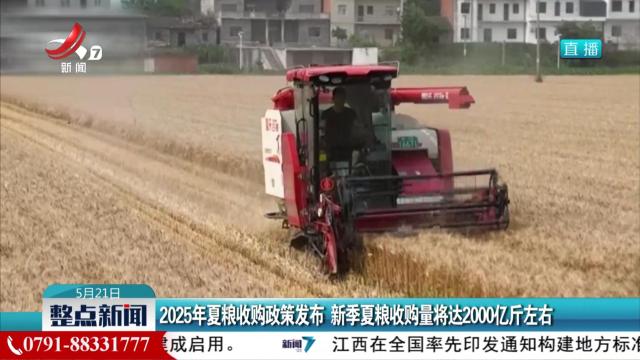 2025年夏粮收购政策发布 新季夏粮收购量将达2000亿斤左右