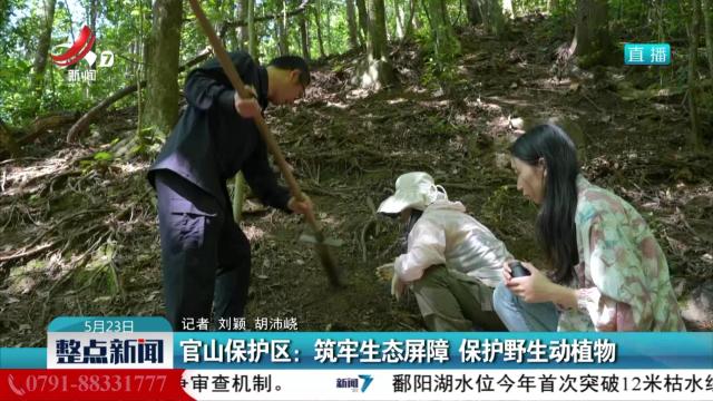 官山保护区：筑牢生态屏障 保护野生动植物