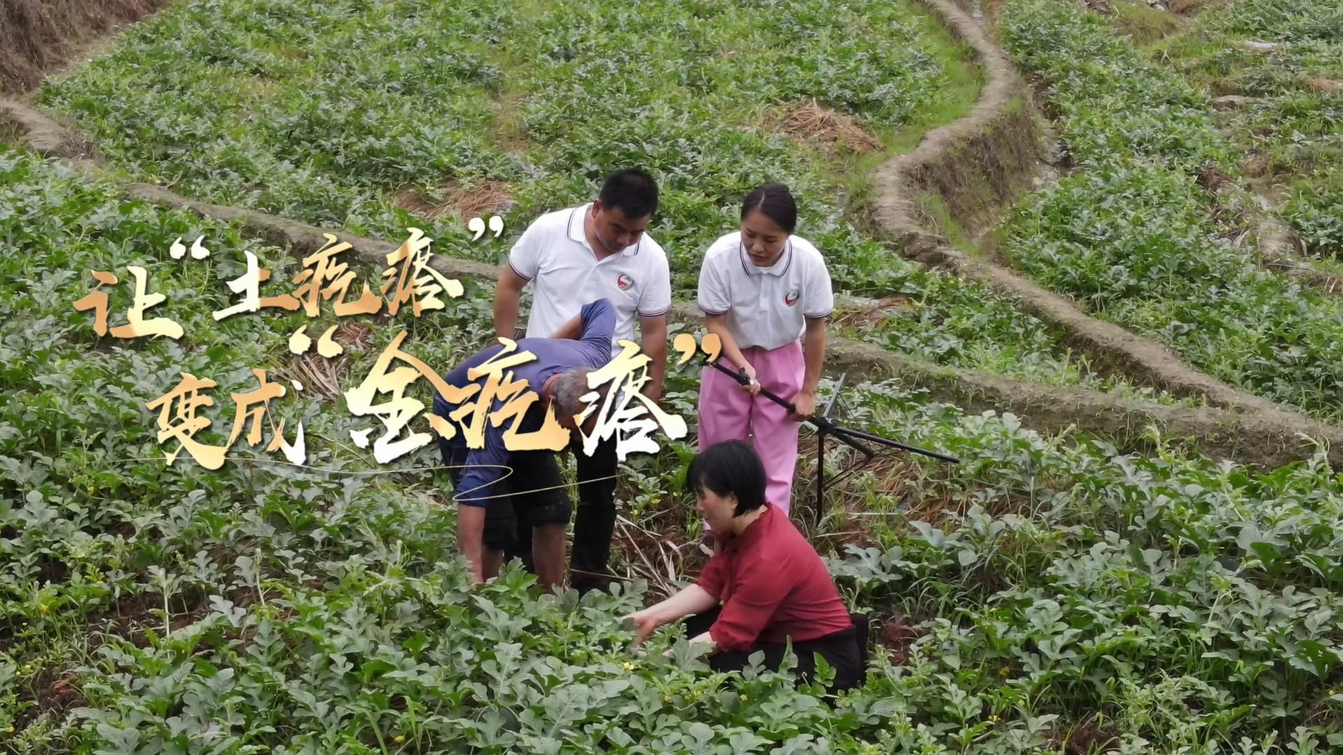 今日访谈｜让“土疙瘩”变成“金疙瘩”