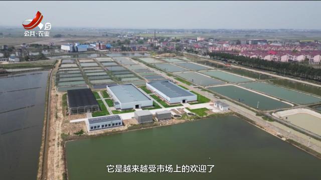 农问20250504