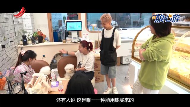 都市放心游·UP新青年·汪雅婷：精致养宠时代 烹出爱的“漂亮饭”