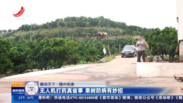 【赣闻天下】赣州南康：无人机打药真省事 果树防病有妙招