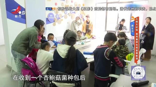 趣生活：又萌又好味 食用菌种包成盆栽新宠