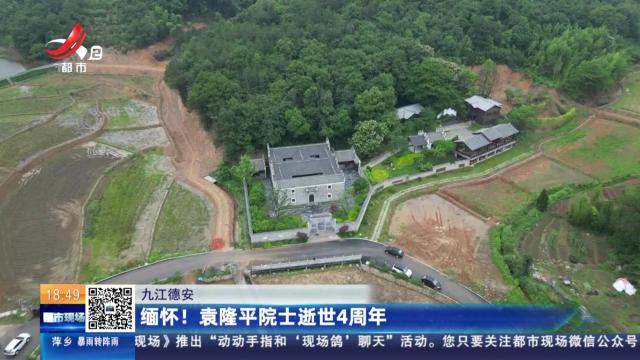 九江德安：缅怀！ 袁隆平院士逝世4周年
