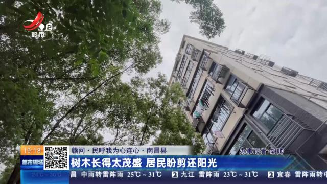 【赣问·民呼我为心连心】南昌县：树木长得太茂盛 居民盼剪还阳光