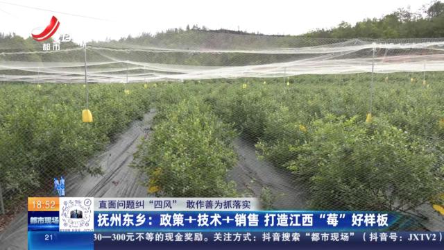 都市现场20250516