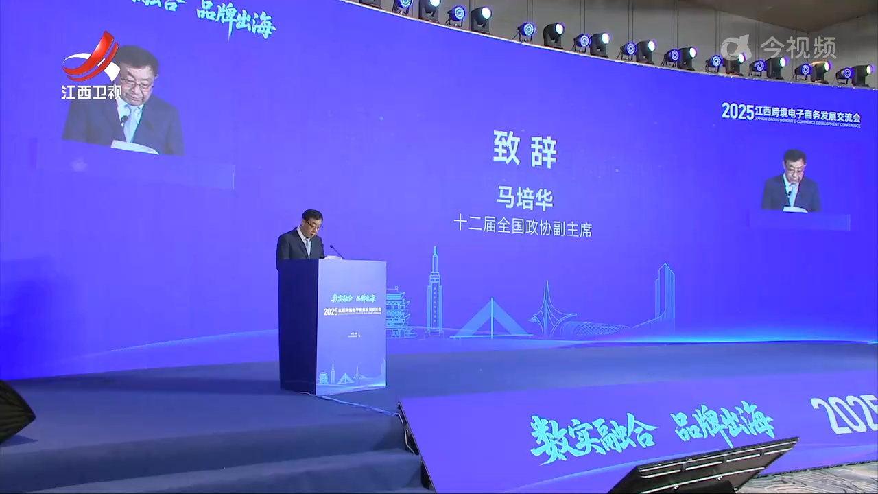 2025江西跨境电子商务发展交流会召开 马培华出席并致辞