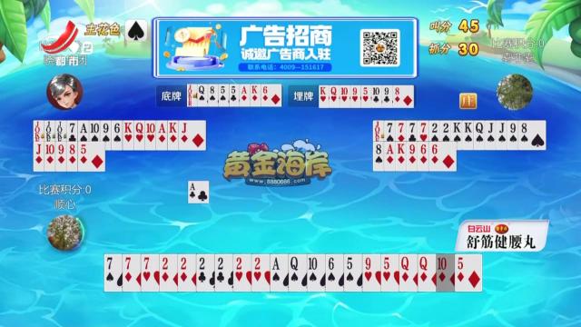 谁是赢家20250528