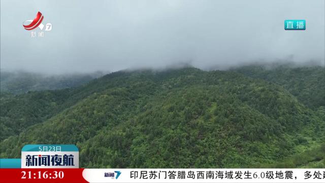 七旬老人迷失山林 警民联手紧急救援