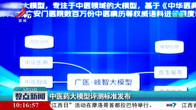 中医药大模型评测标准发布