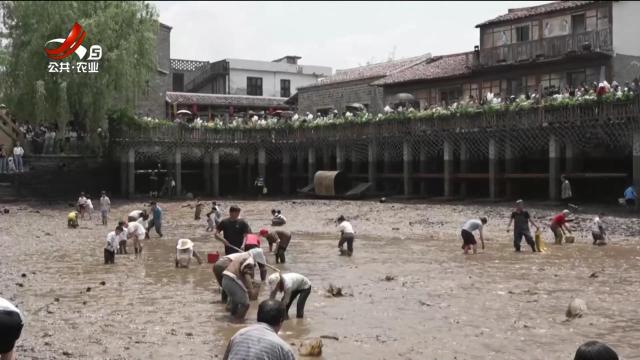 抚州南丰：线上引流线下体验 “网红”联动掀起乡村欢乐热潮