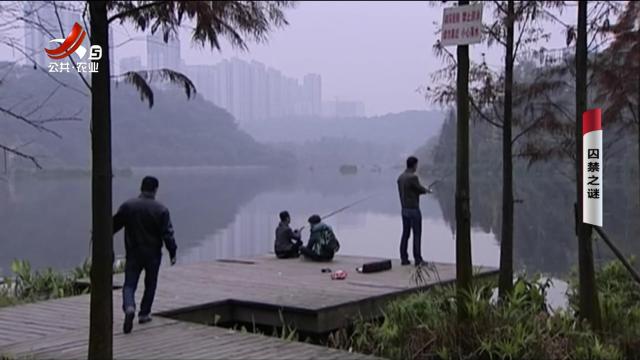乡村栏目剧场20250525 囚禁之谜