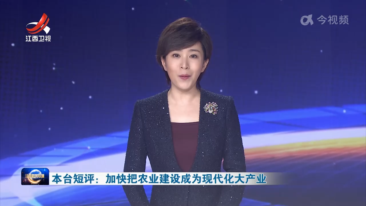 本台短评：加快把农业建设成为现代化大产业