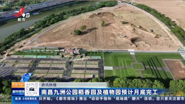 南昌九洲公园稻香园及植物园预计月底完工