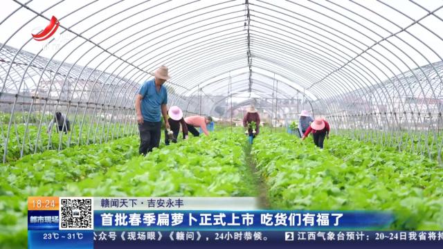 都市现场20250520