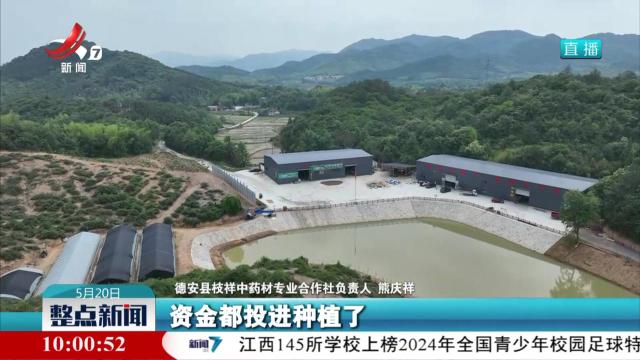 【改革在身边】江西：破解林改新型业态确权难 金融资本入山难